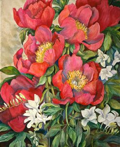 Red Peonies