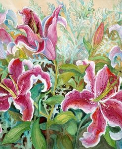 Stargazer Lilies