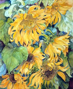 Cascading Sunflowers