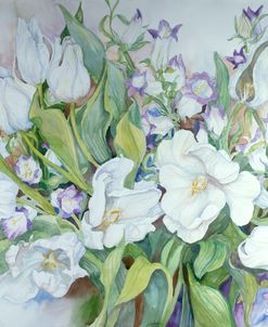 White Tulips And Canterbury Bells