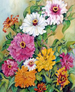 Variegated Zinnias