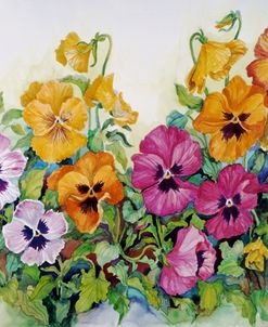 Amber Pansies