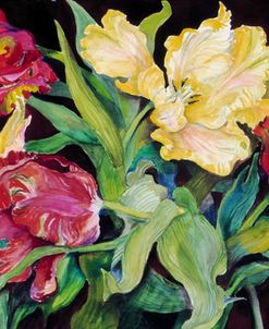 Red And Yellow Parrot Tulips