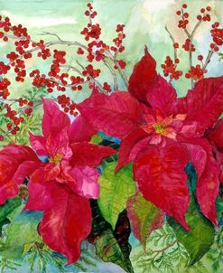 Red Poinsettia