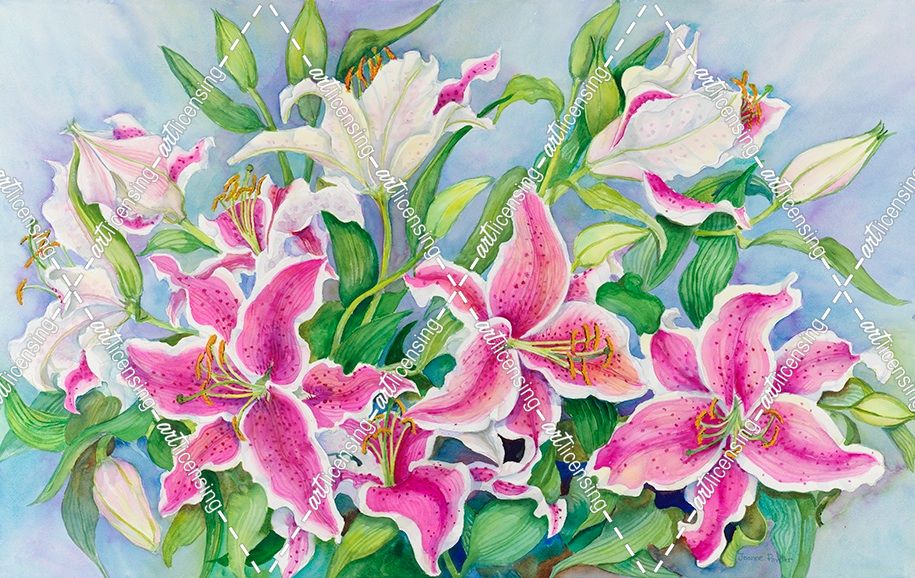 Lilies And Buds