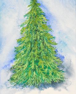 Evergreen Tree