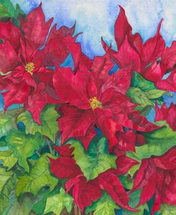 Red Oak Leaf Poinsettias