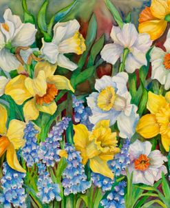 Daffodils And Grape Hyacinths