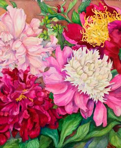 Cheryl’S Peony Garden