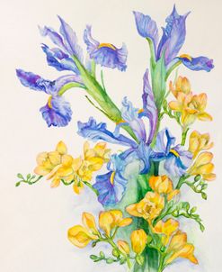 Iris With Gold Fuscia