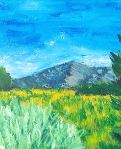 New Mexico