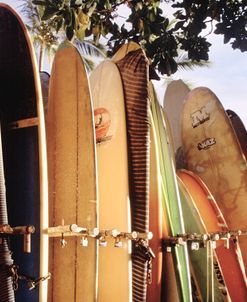 Long Boards Waikiki