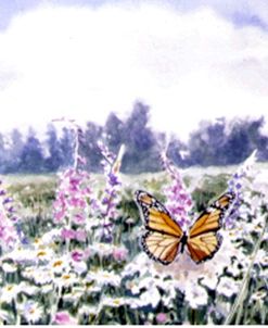 Wild Flowers & Butterflies