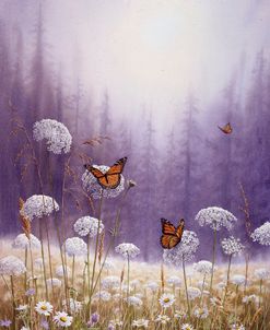 Monarch Butterflies