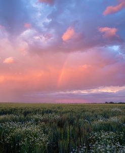 Prairie Sunset 1