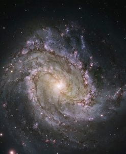 Pinwheel Galaxy M33