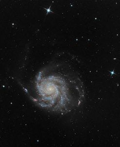 Pinwheel Galaxy