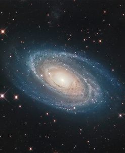 M81 Galaxy