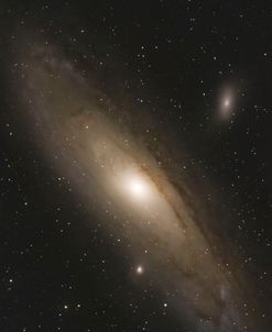 Andromeda In Gold