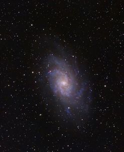 Triangulum