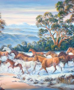 The Man From Snowy River