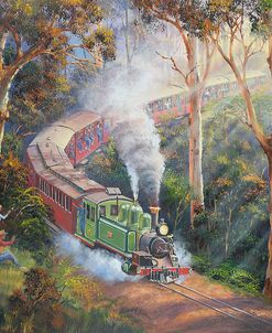 Puffing Billy In Sherbrook Forest