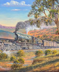 Australian Std Garrett in the Flinders Ranges