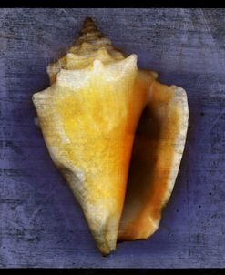 Fighting Conch