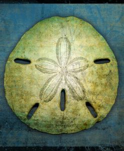 Sand Dollar