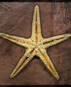 Starfish