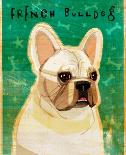 French Bulldog – White