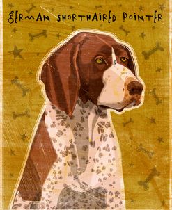 German Shorthaired Pointer