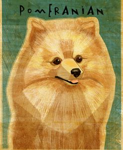 Pomeranian