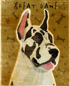 Harlequin Great Dane