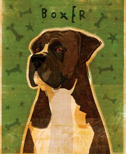 Boxer – Brindle