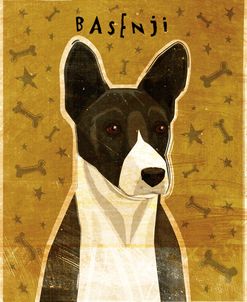 Basenji – Black