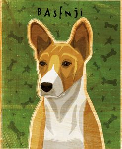 Basenji – Red