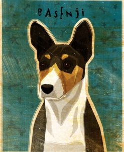 Basenji – Tri-Color