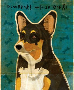 Pembroke Welsh Corgi – Tri-Color