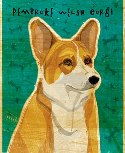 Pembroke Welsh Corgi