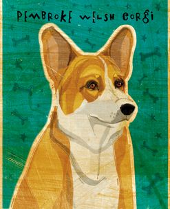 Pembroke Welsh Corgi