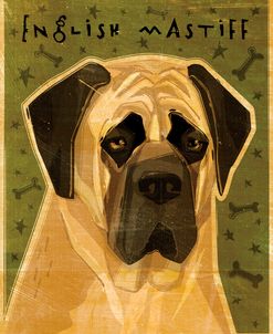 English Mastiff