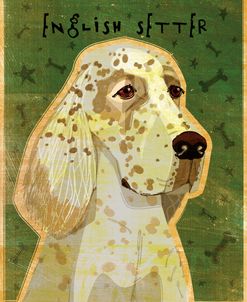 English Setter