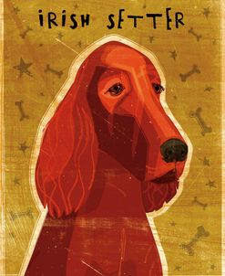 Irish Setter