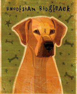 Rhodesian Ridgeback