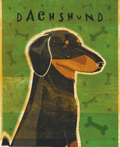 Dachshund (black and tan)