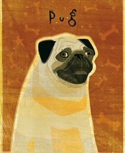 Pug