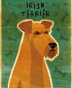 Irish Terrier