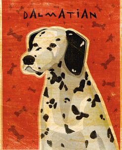 Dalmatian