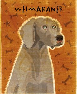 Weimaraner